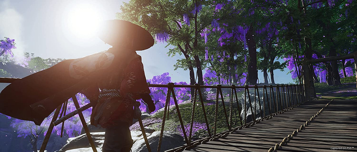 Ghost of Tsushima Director's Cut PS5 Físico Nuevo