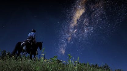 Red Dead Redemption 2 PS4 Físico Nuevo