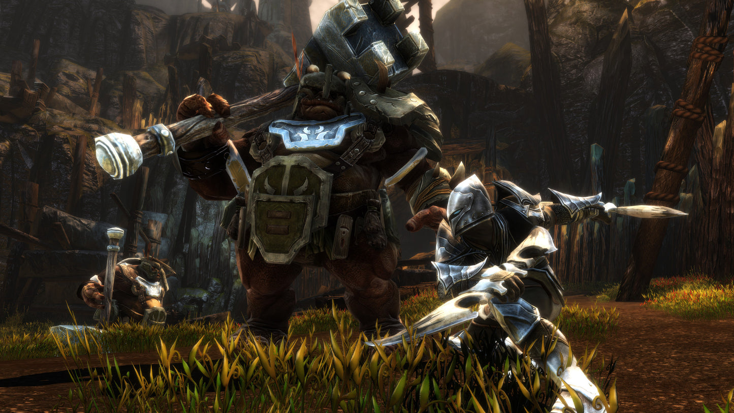 Kingdoms of Amalur Re-Reckoning - Switch - Físico - Nuevo