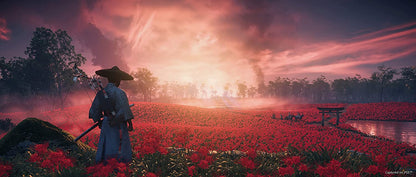 Ghost of Tsushima Director's Cut PS5 Físico Nuevo