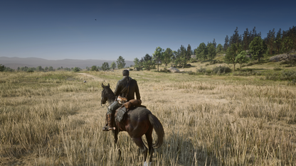 Red Dead Redemption 2 PS4 Físico Nuevo