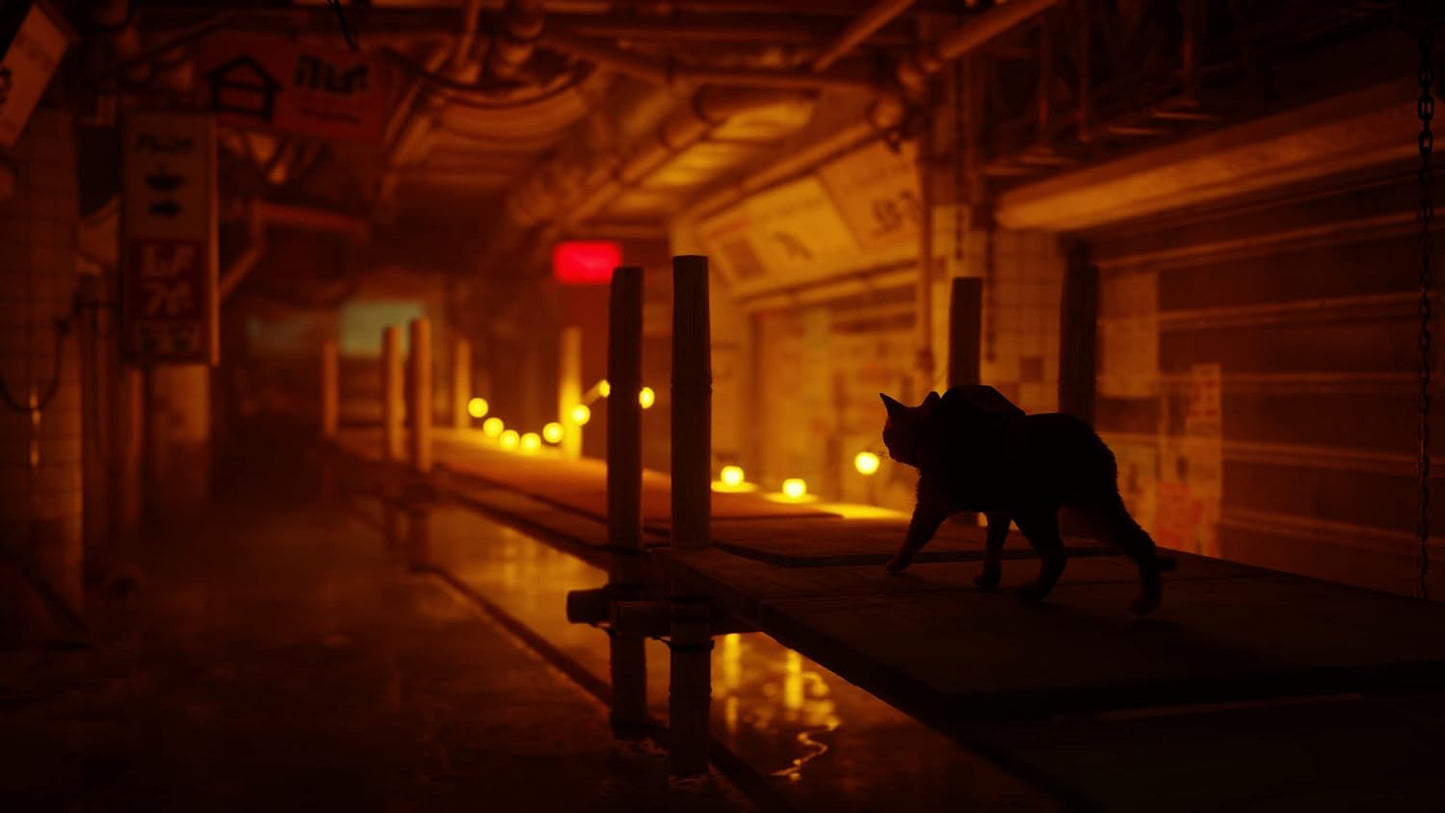 Stray - PS4 - Físico - Nuevo